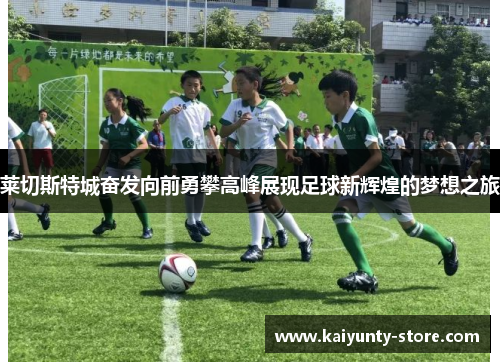 莱切斯特城奋发向前勇攀高峰展现足球新辉煌的梦想之旅