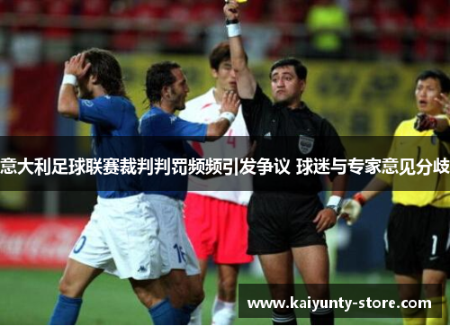 意大利足球联赛裁判判罚频频引发争议 球迷与专家意见分歧