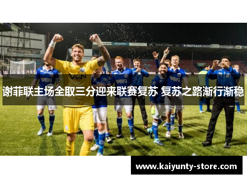 谢菲联主场全取三分迎来联赛复苏 复苏之路渐行渐稳