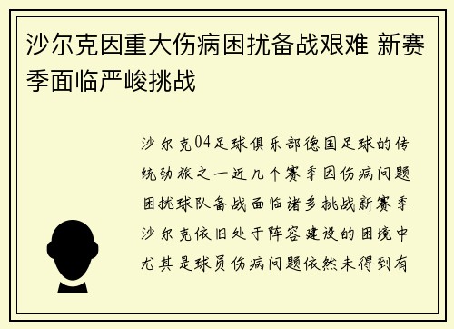 沙尔克因重大伤病困扰备战艰难 新赛季面临严峻挑战